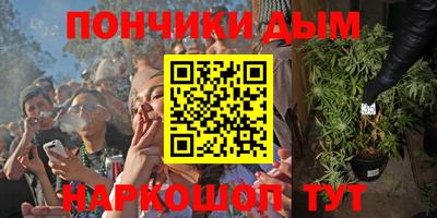 гашик Будённовск