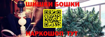 гашик Будённовск