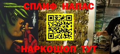 гашик Будённовск