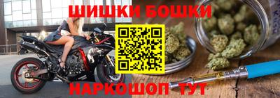 гашик Будённовск