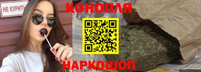 гашик Будённовск
