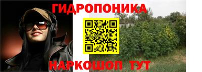 гашик Будённовск
