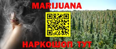 гашик Будённовск