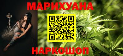 гашик Будённовск