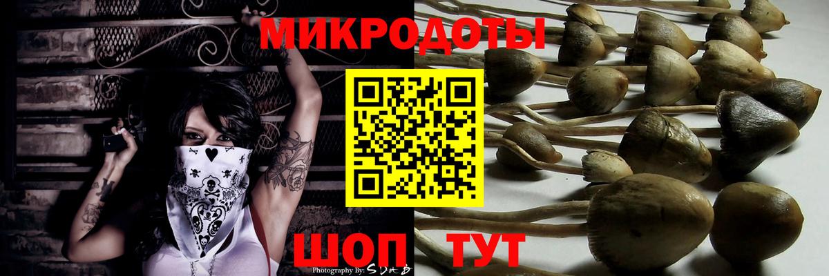 Галлюциногенные грибы мицелий Карасук